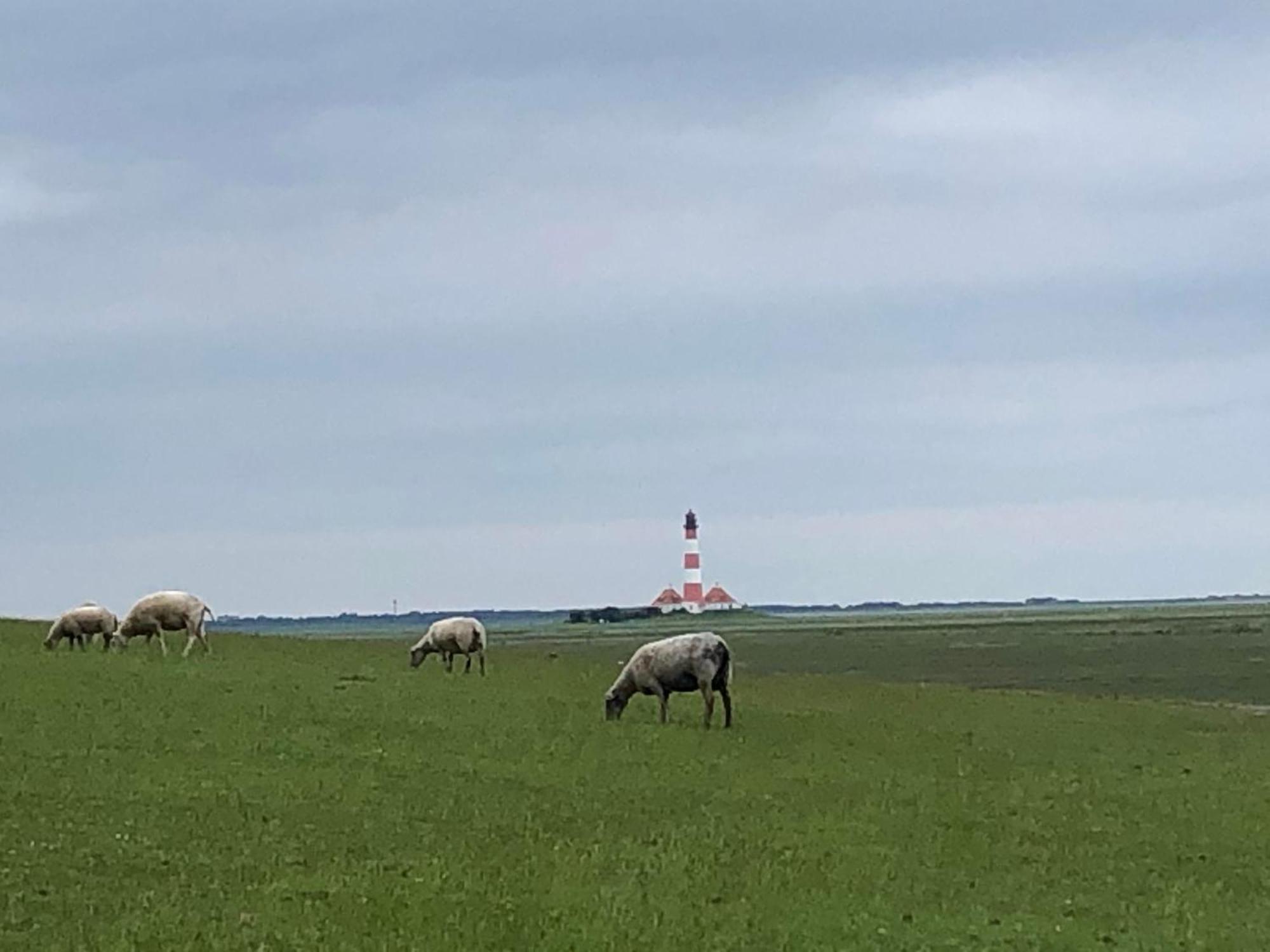 Haubarg Alte Strandvogtei Westerhever Εξωτερικό φωτογραφία