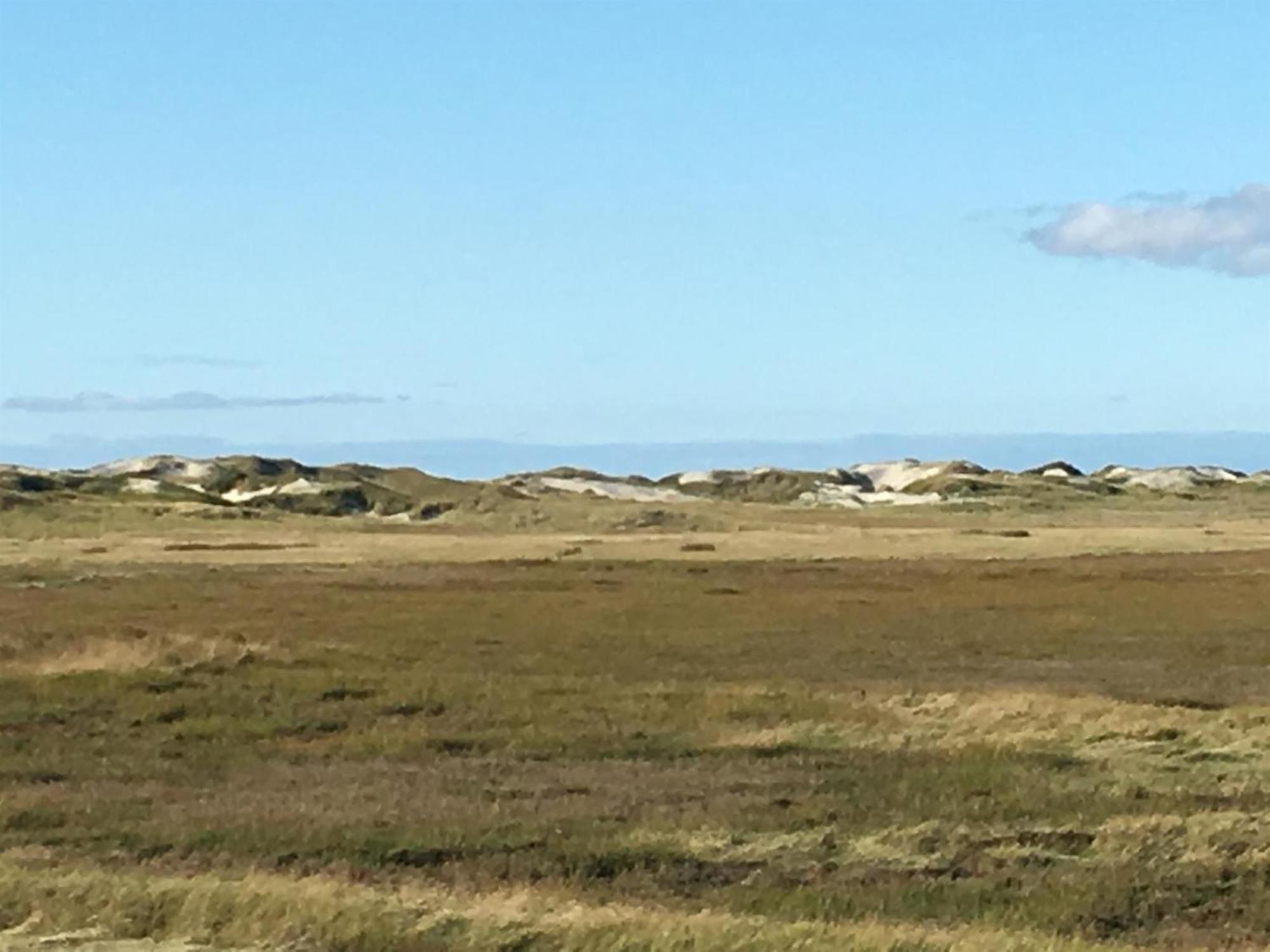 Haubarg Alte Strandvogtei Westerhever Εξωτερικό φωτογραφία